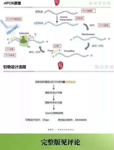 pcr阵容攻略插图