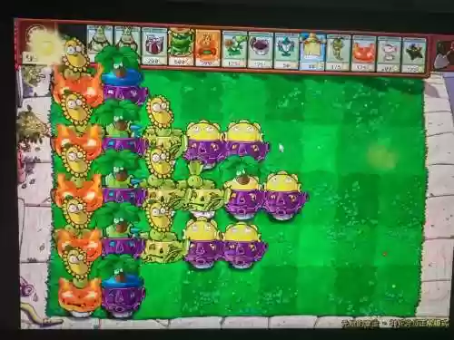 植物流阵容插图1 植物流阵容插图1