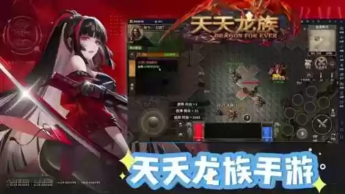天天飞龙阵容插图