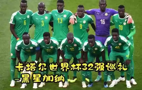 加纳牙阵容插图