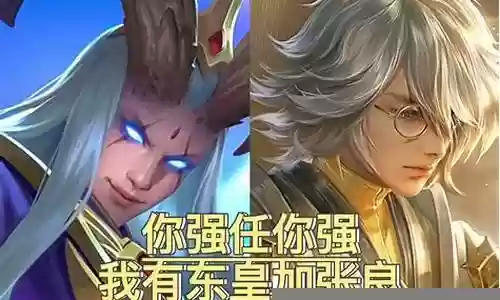 东皇跟张良搭配什么阵容插图