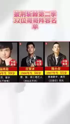 哥哥阵容插图1