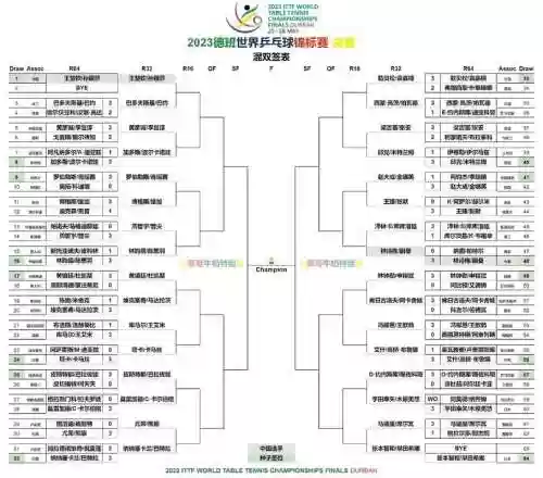 32强阵容插图 32强阵容插图