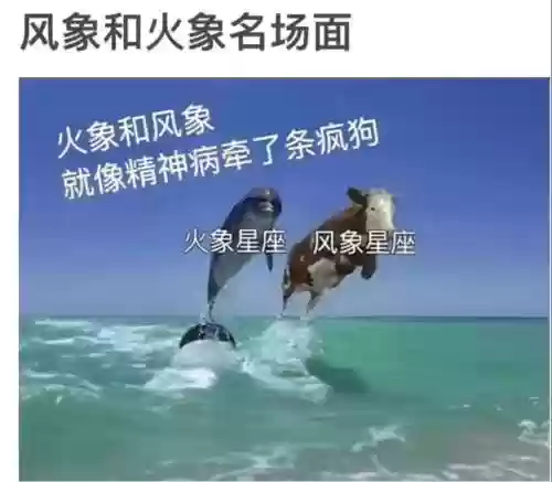 火象阵容插图1 火象阵容插图1