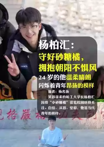 杨柏阵容插图