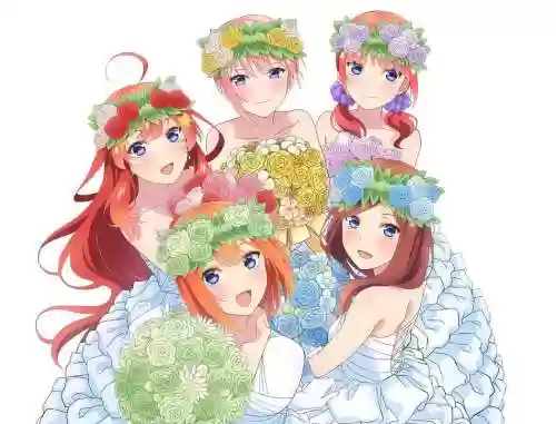 花嫁阵容插图