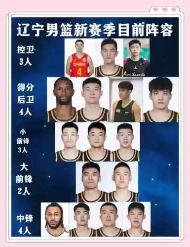 辽宁老将阵容搭配插图1