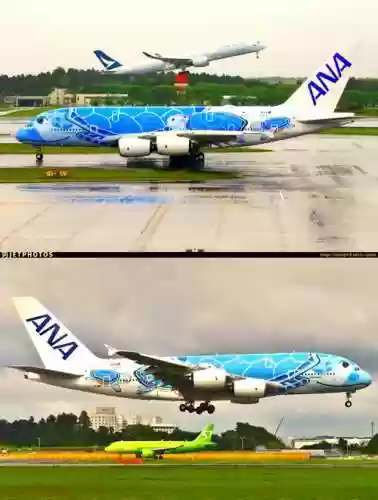 飞机300阵容插图 飞机300阵容插图