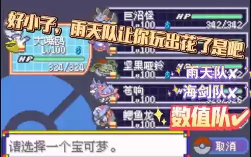 常规暴雨阵容搭配插图