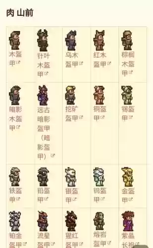 s泰拉瑞亚武器商人插图