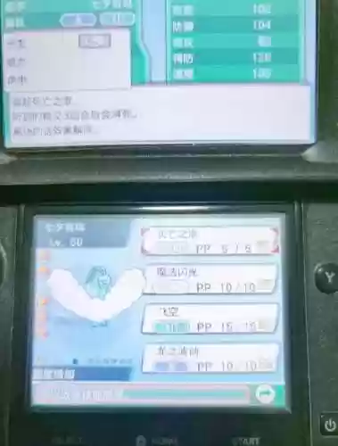 口袋妖怪3ds一星装备插图1