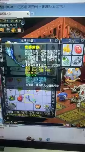 梦幻西游真实不虚插图