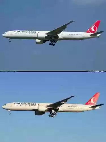 土耳其航空阵容插图