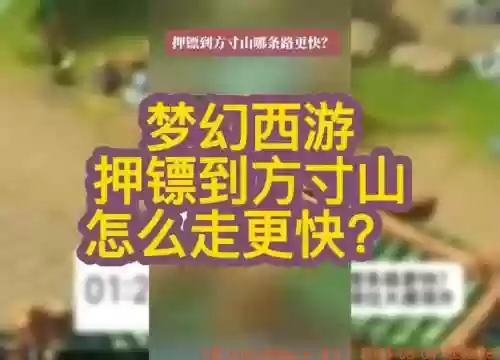 梦幻西游连续几镖方寸插图