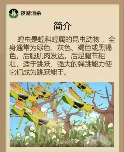S8蚂蚱怎么放技能插图