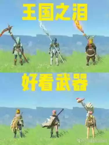 塞尔达传说半人马武器插图1