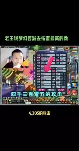 梦幻西游致命错误插图