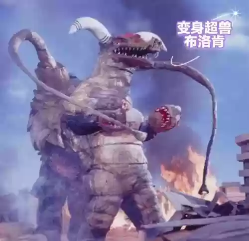 布兽怪兽攻略