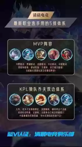 黑色王者阵容_2插图