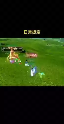寻仙手游用什么抓宠物技能
