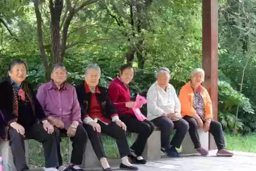 大妈最强阵容搭配