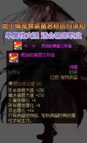 宠物装备爆插图1