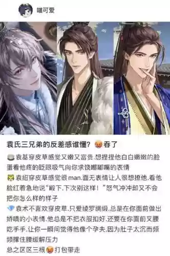 袁氏兄弟阵容搭配插图