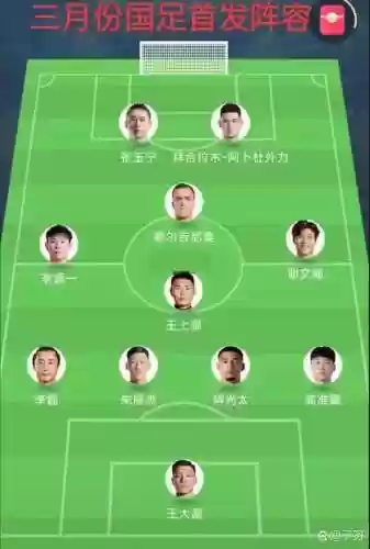 预测上场阵容插图