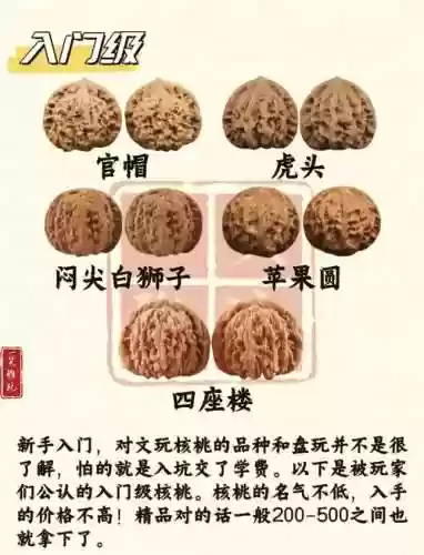核桃阵容打法插图1