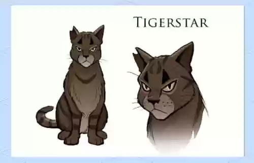 虎猫队阵容搭配