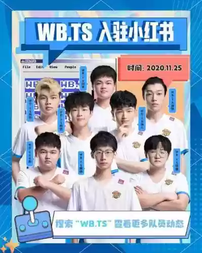 ts同阵容插图