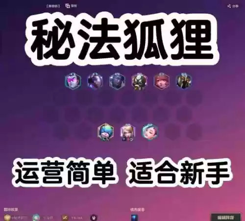 肉狐狸阵容搭配插图
