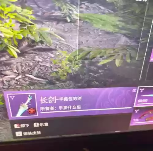 阿拉玛王国紫色武器在哪插图1