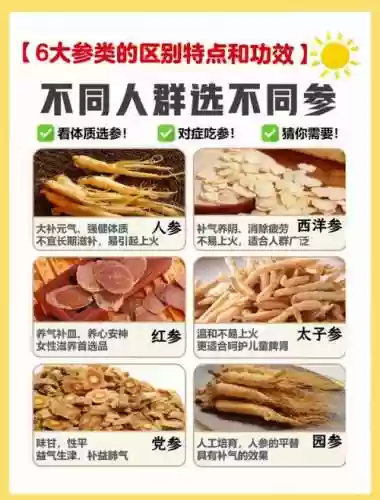 人参阵容搭配插图1