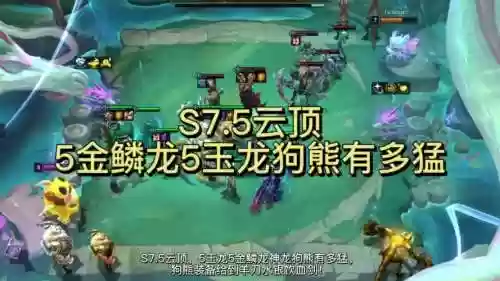 五玉龙阵容插图 五玉龙阵容插图