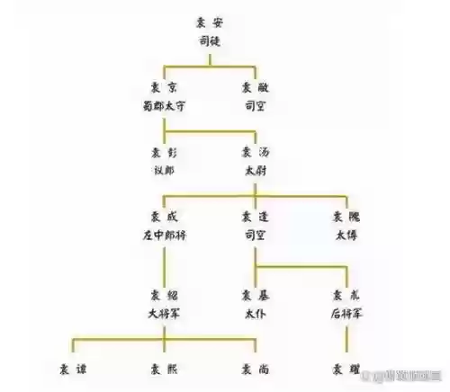 袁氏兄弟阵容搭配插图1