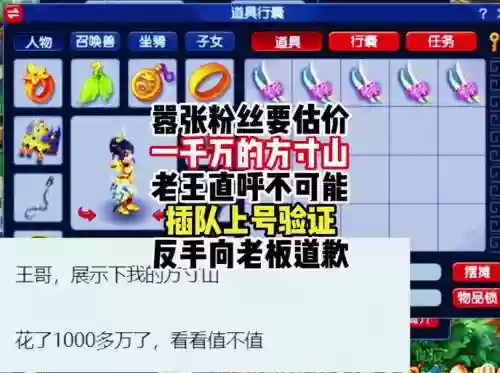 梦幻西游显示不了坐骑插图