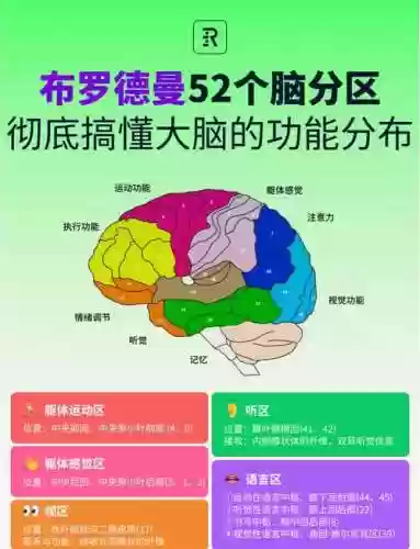 brainit32攻略插图