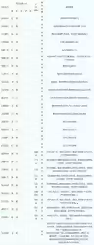 梦幻西游电符石价格