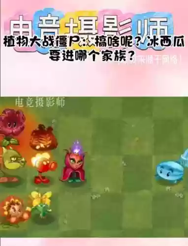 西瓜打野阵容