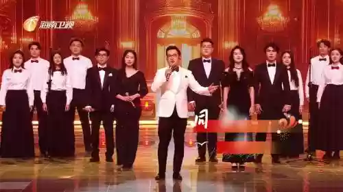 海南卫视阵容插图