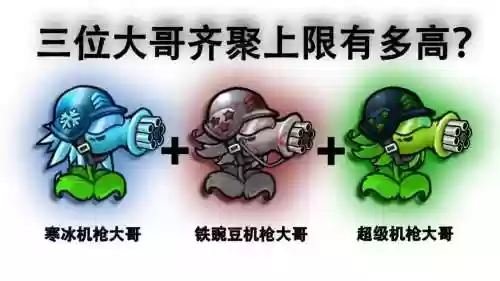 尖叫射手搭配阵容插图