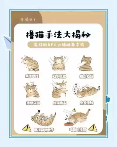 猫千杯清爽攻略插图