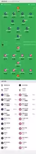 墨西哥阵容搭配