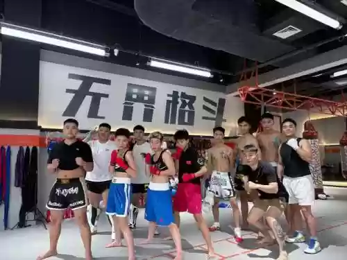 格斗选手阵容_1插图