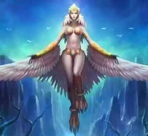 梦幻西游艾维娜卡组