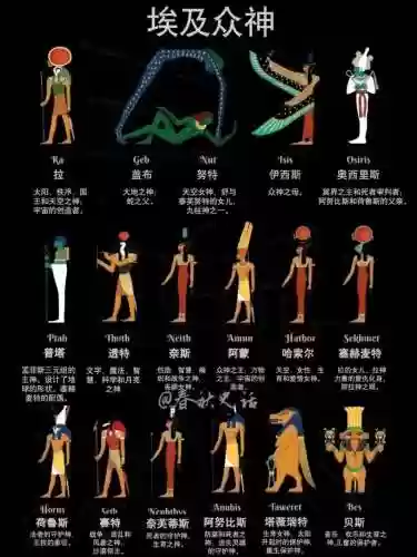 埃及新阵容_1插图
