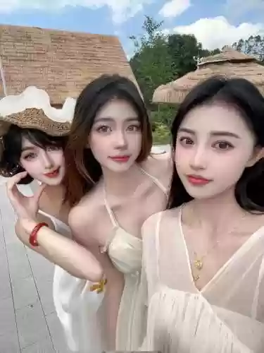 姐妹法阵容搭配插图