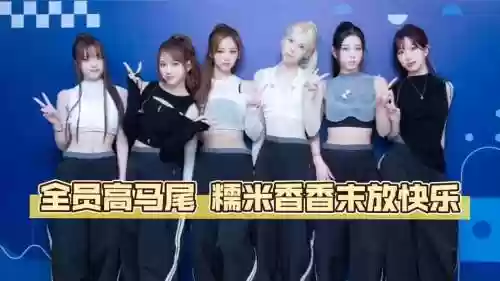 高马尾阵容插图