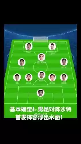 沙特阵容介绍插图
